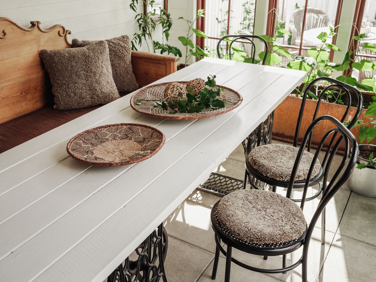 Curly sittepute, sahara