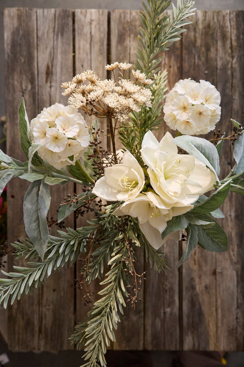 Amaryllis 60 cm, cream