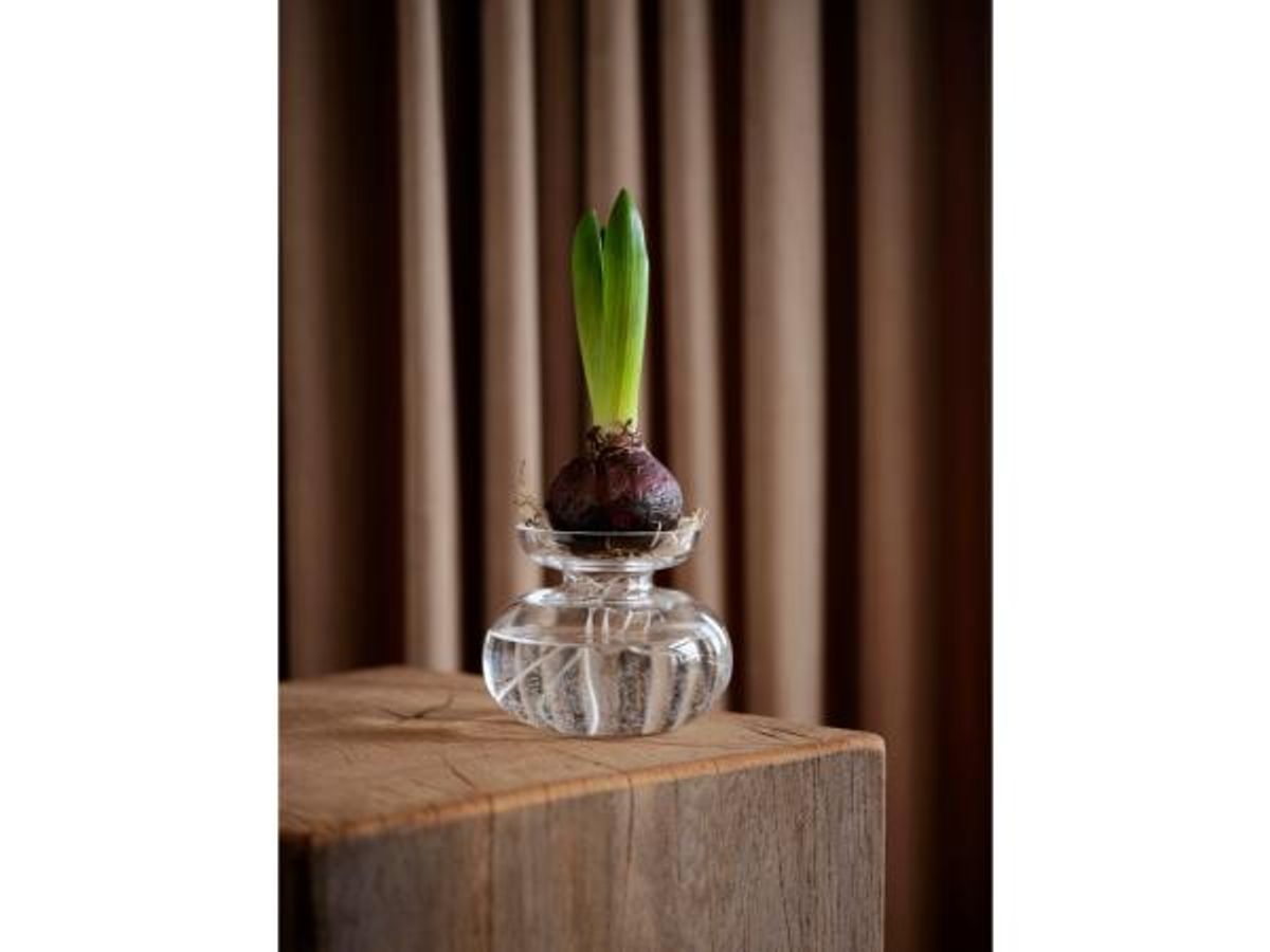 INU Vase Klar 11x9 