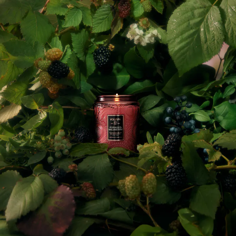 Foraged Wildberry duftlys 156g