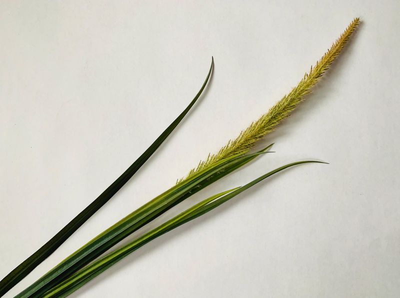 Strå grønne h114 cm